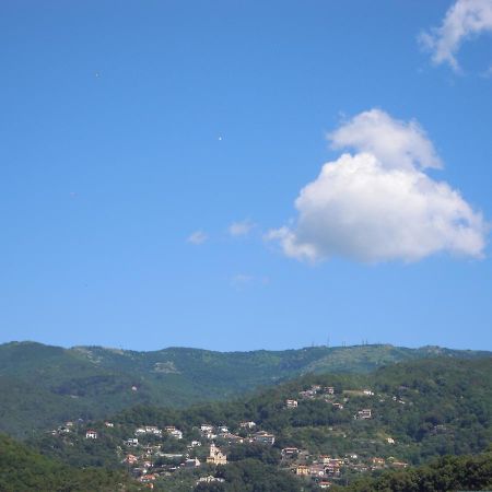 Genovese Villa Elena Appartamenti Varazze Bagian luar foto